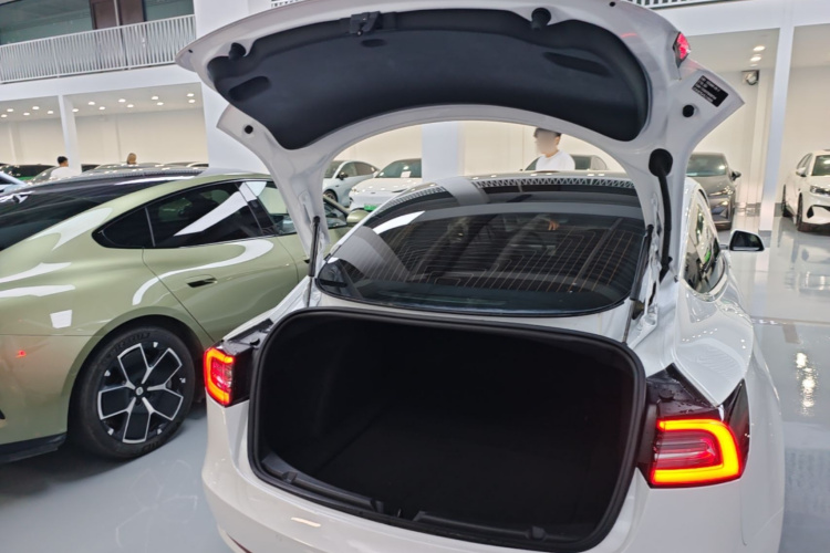 Tesla Model 3 2020 immagine di auto #21