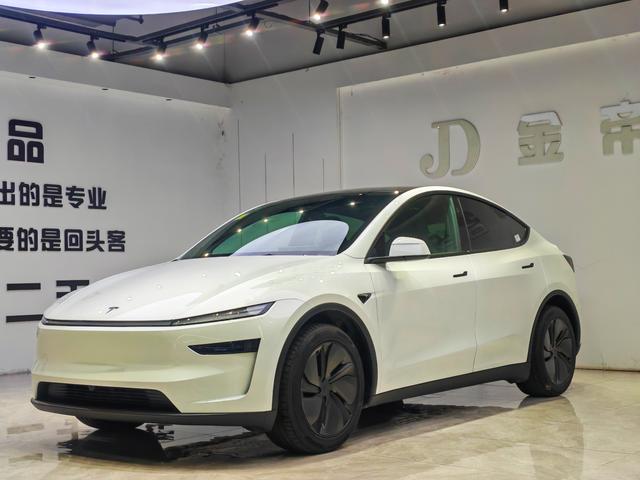 Tesla Model Y 2026 #17 Tesla Model Y 2026 immagine di auto #17