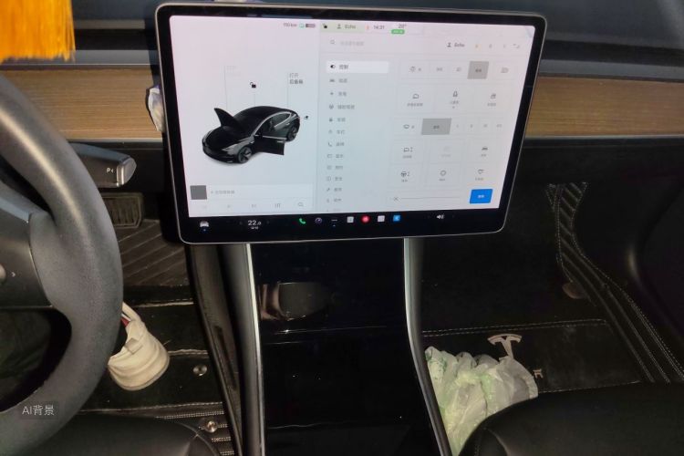 Tesla Model 3 2020 immagine di auto #15