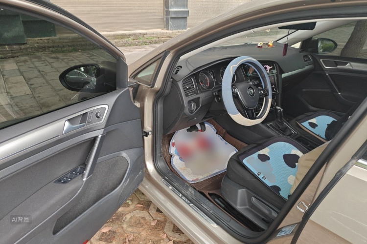 Volkswagen Golf 2019 #18 Volkswagen Golf 2019 car image #18