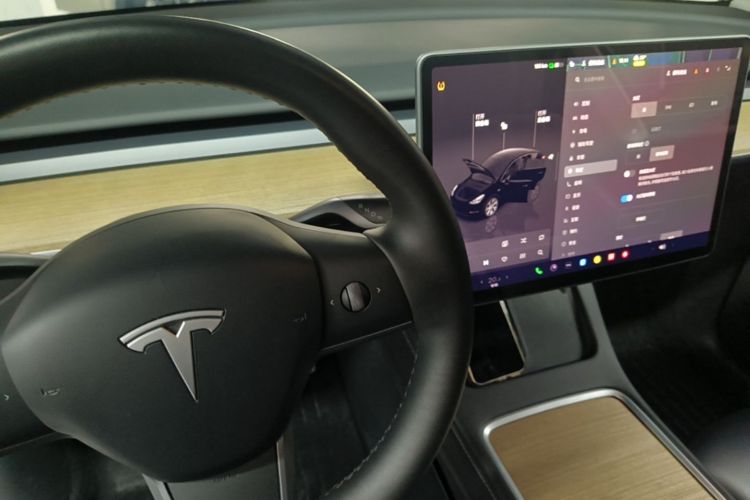 Tesla Model Y 2023 #14 Tesla Model Y 2023 car image #14