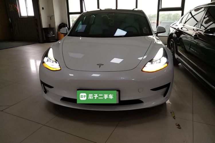 Tesla Model 3 2021 #3 Tesla Model 3 2021 car image #3