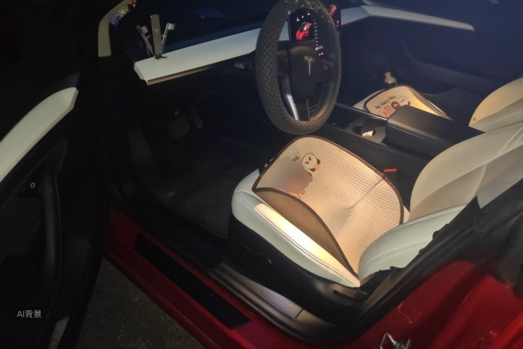 Tesla Model 3 2021 #18 Tesla Model 3 2021 imagen de coche #18