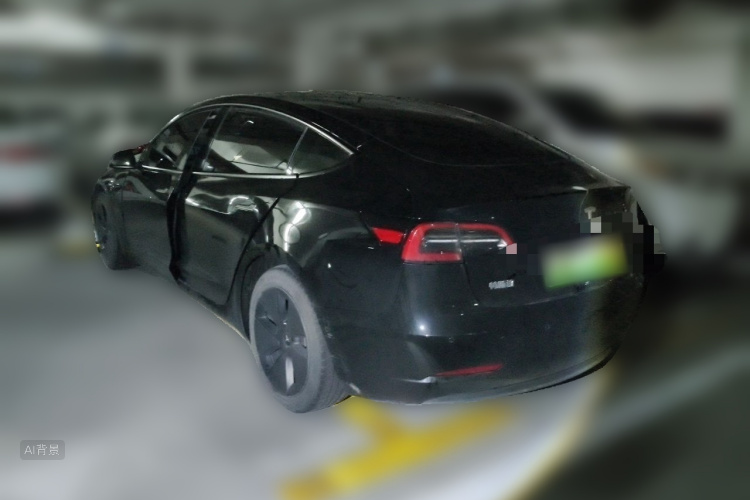 Tesla Model 3 2022 immagine di auto #5