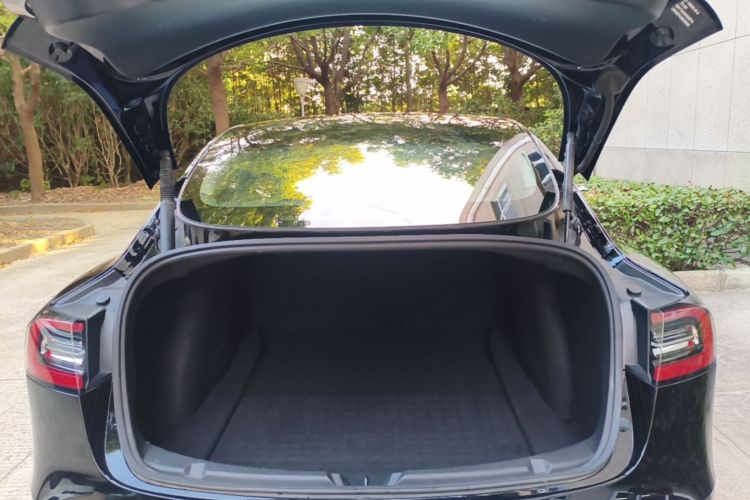 Tesla Model 3 2021 #19 Tesla Model 3 2021 immagine di auto #19