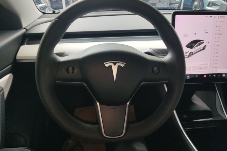 Tesla Model 3 2020 car image #11