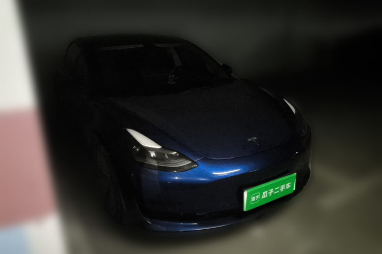 Tesla Model 3 2021 car image #4