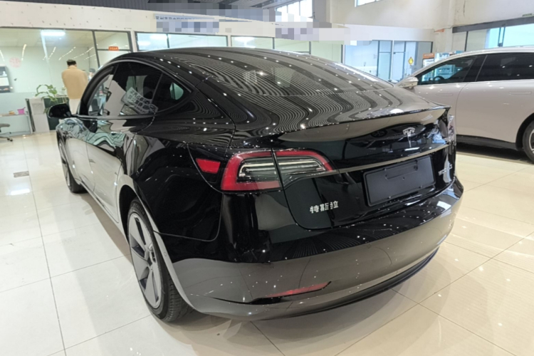 Tesla Model 3 2023 car image #5