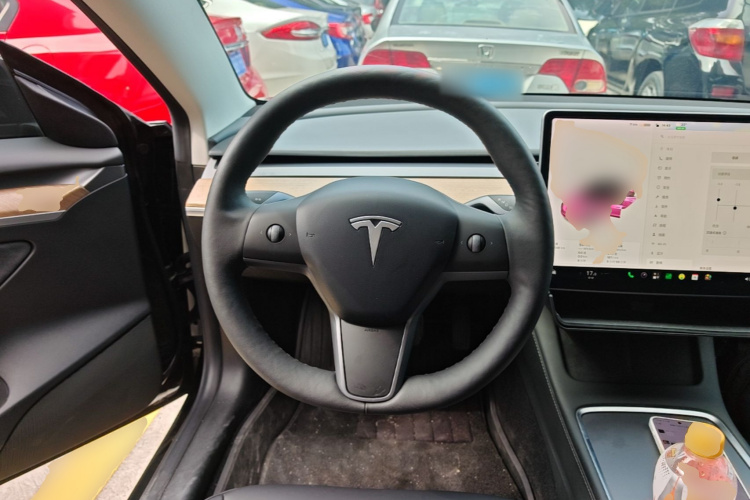 Tesla Model 3 2021 car image #13