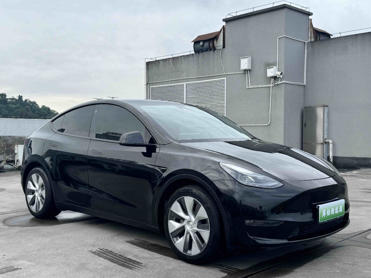 Tesla Model Y 2021 #2 Tesla Model Y 2021 car image #2