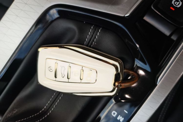 GEELY Emgrand 2024 immagine di auto #9