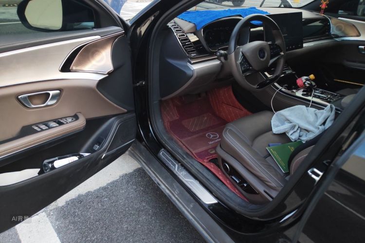 BYD Han 2021 car image #18