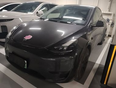 Tesla Model Y 2024 Tesla Model Y 2024 car image