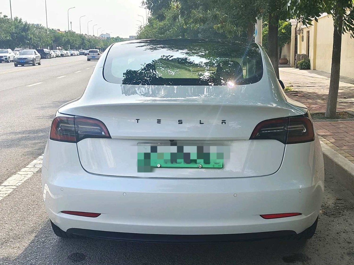 Tesla Model 3 2022 car image #2