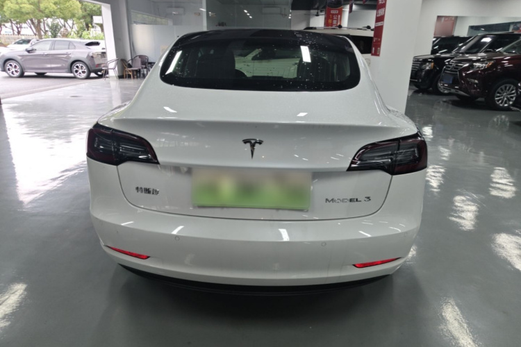 Tesla Model 3 2020 #6 Tesla Model 3 2020 car image #6