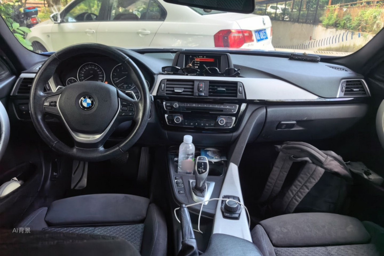 BMW 3 Series 2017 car image #11