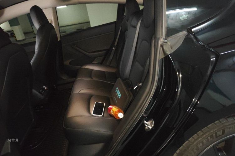 Tesla Model 3 2022 car image #19