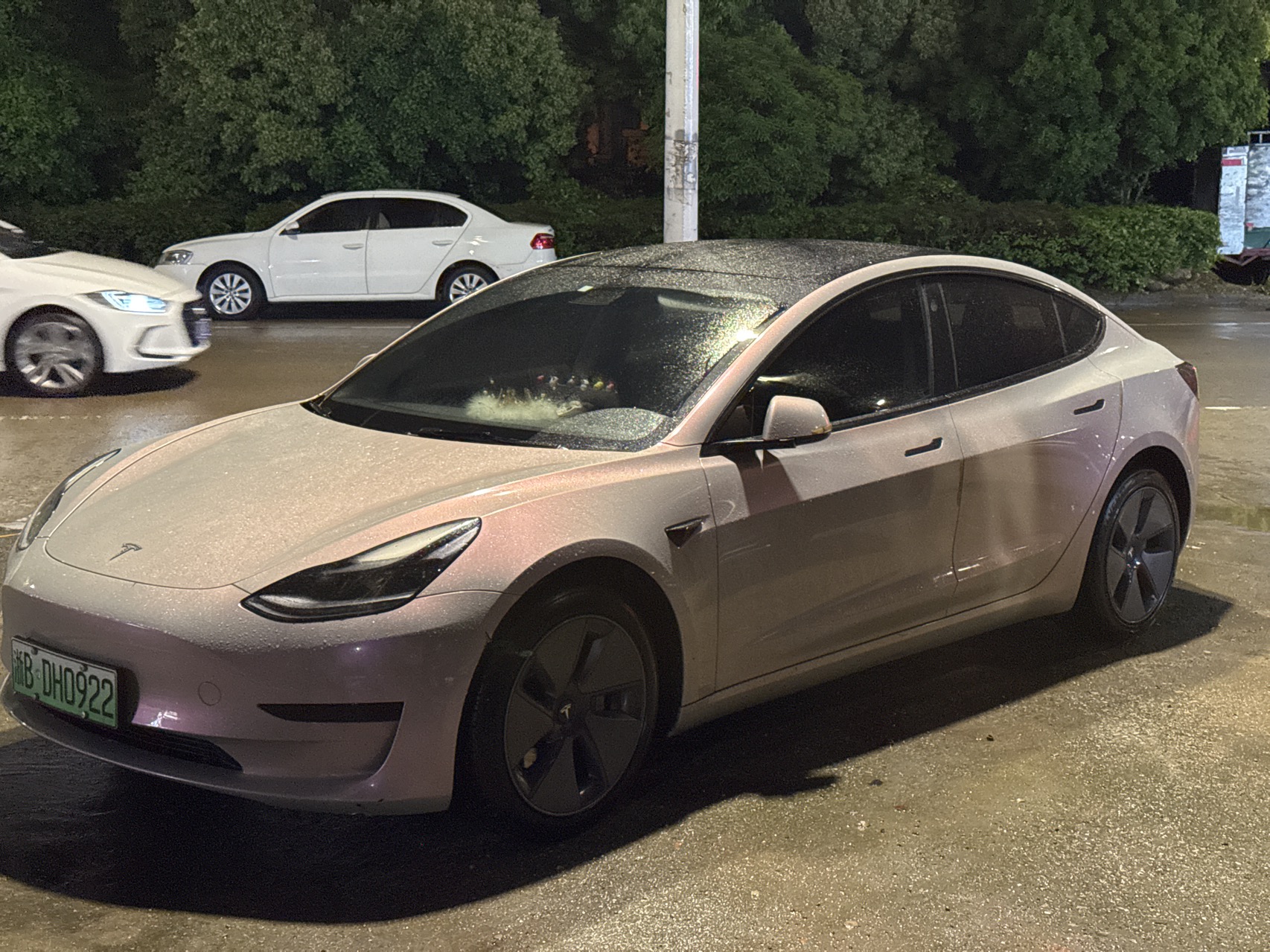 Tesla Model 3 2021 Tesla Model 3 2021 car image