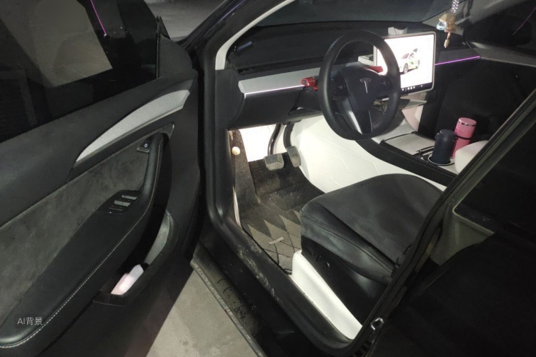 Tesla Model Y 2023 car image #18