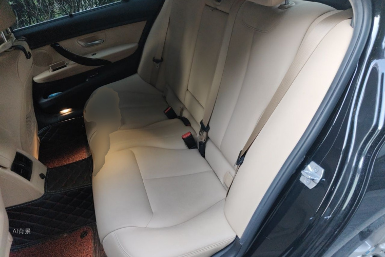 BMW 3 Series 2017 car image #19
