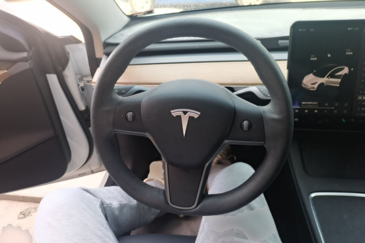 Tesla Model 3 2021 car image #11