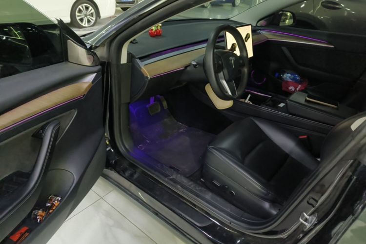 Tesla Model 3 2021 #16 Tesla Model 3 2021 car image #16