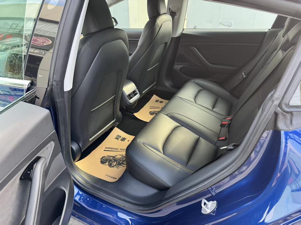 Tesla Model 3 2020 car image #16