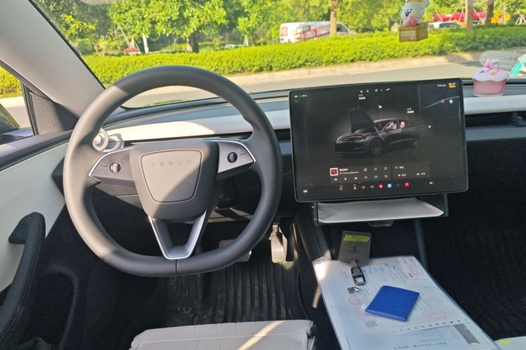 Tesla Model 3 2025 car image #12