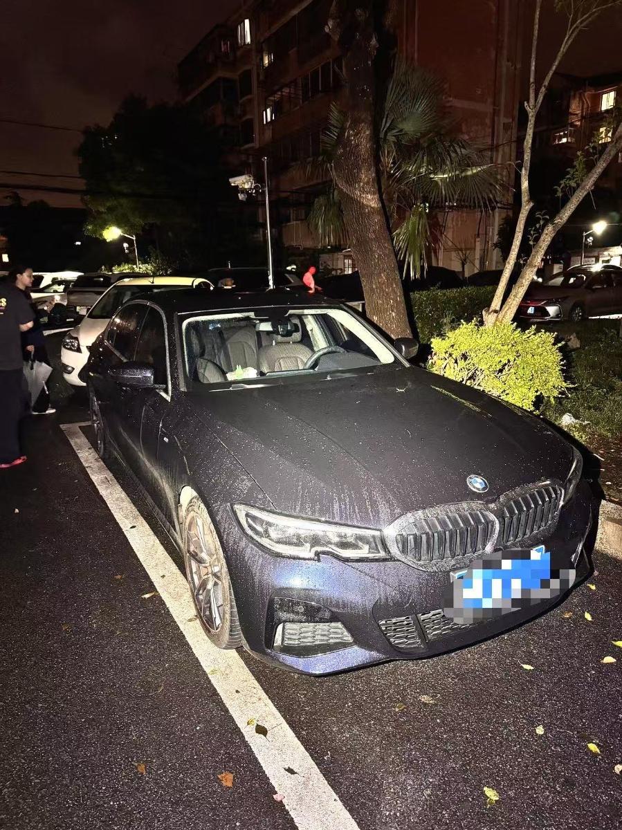 BMW 3 Series 2020 car image #2