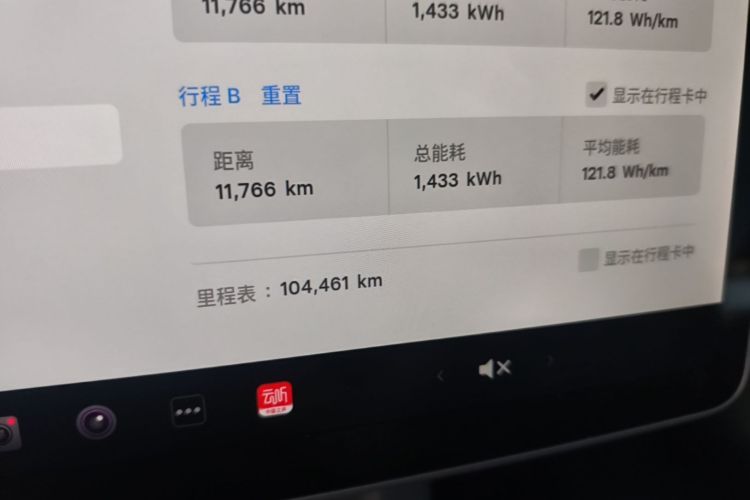 Tesla Model 3 2021 car image #12