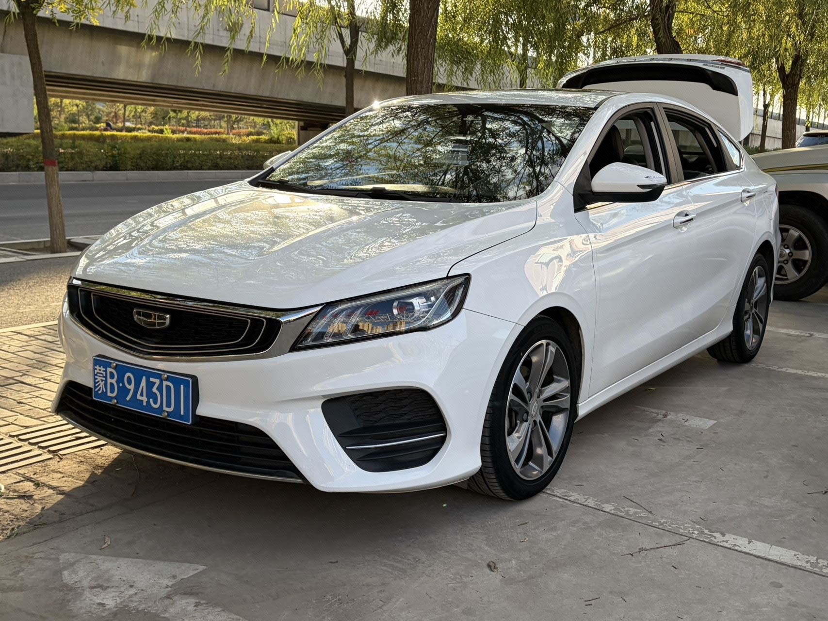 GEELY Binray 2020 GEELY Binray 2020 car image