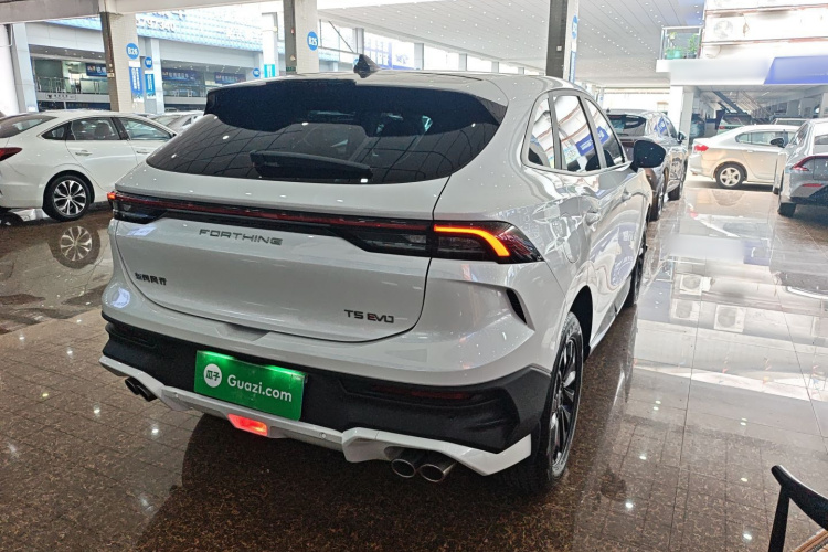 Forthing T5 EVO 2024 immagine di auto #5