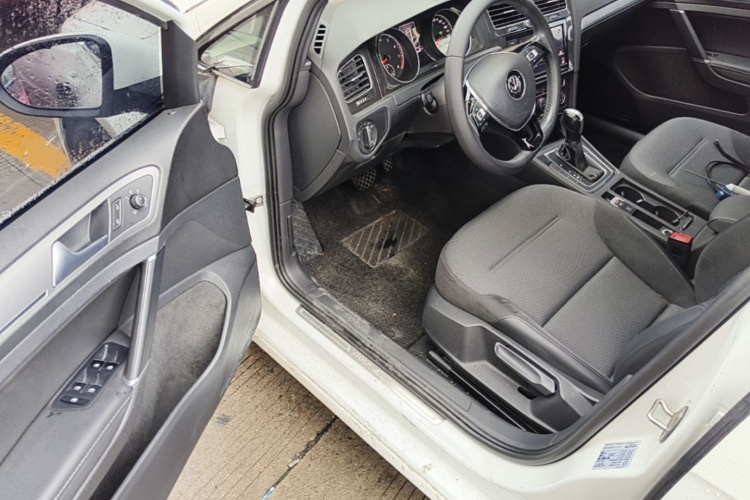 Volkswagen Golf 2019 car image #16