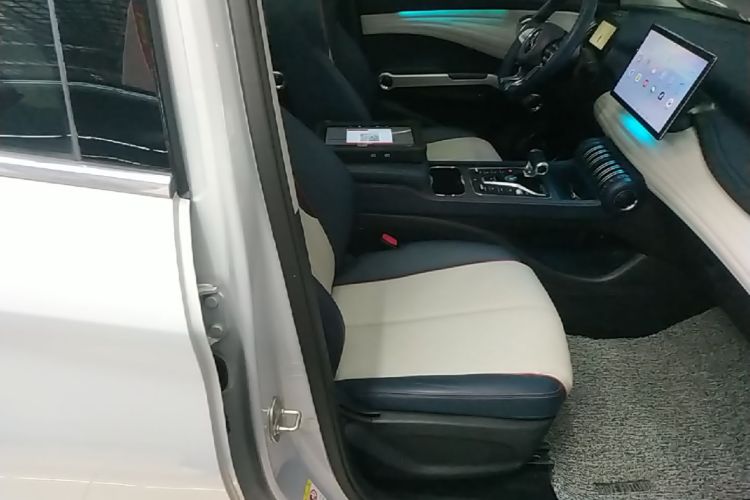 BYD Yuan Plus 2022 car image #24
