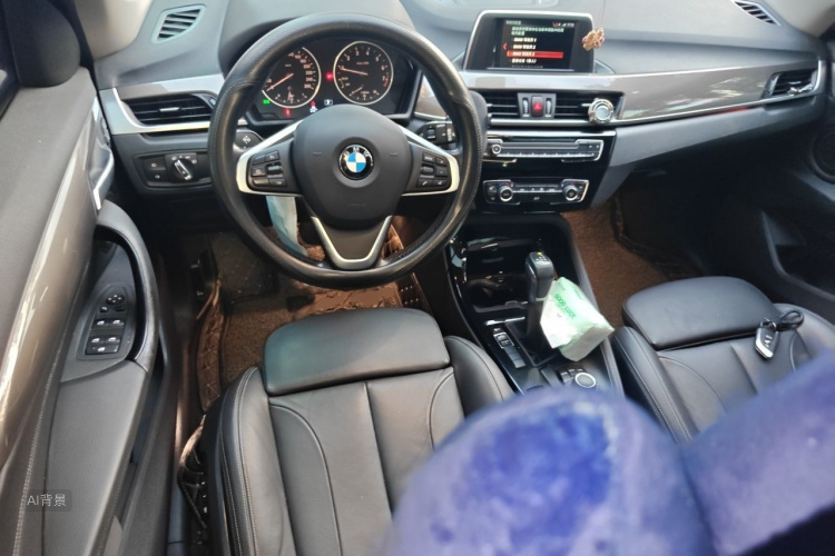 BMW X1 2017 car image #11