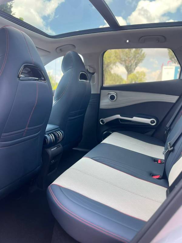 BYD Yuan Plus 2022 car image #8