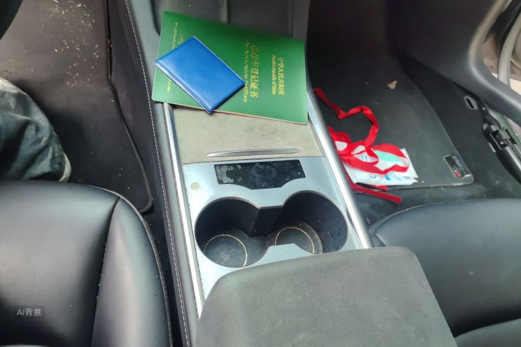 Tesla Model 3 2022 car image #16