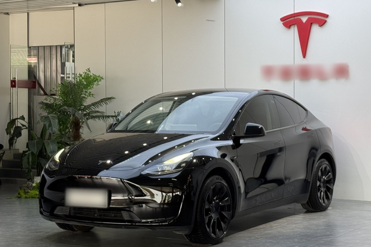 Tesla Model Y 2023 car image #2