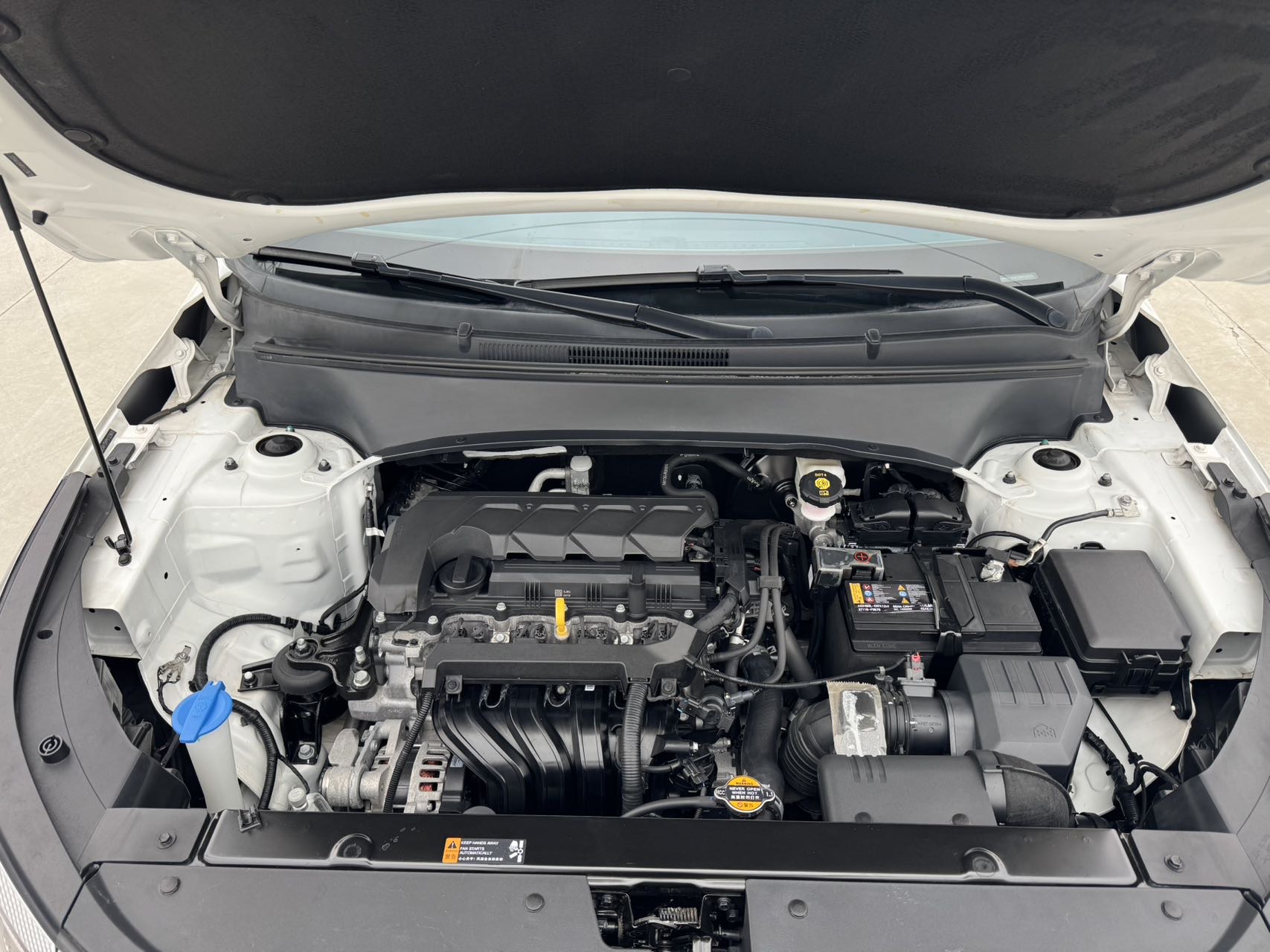 Kia Seltos 2023 imagen de coche #12