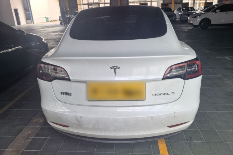 Tesla Model 3 2022 #6 Tesla Model 3 2022 car image #6