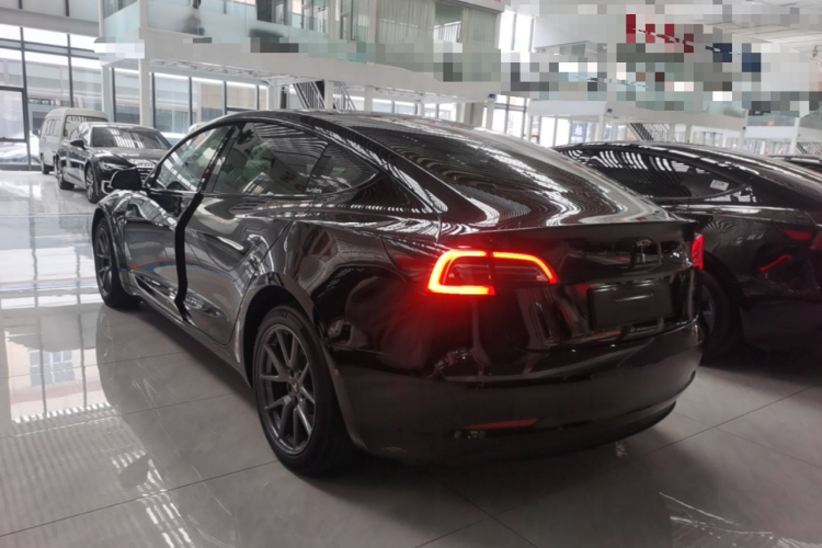 Tesla Model 3 2023 #5 Tesla Model 3 2023 car image #5
