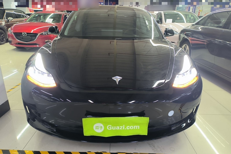 Tesla Model 3 2022 #3 Tesla Model 3 2022 car image #3