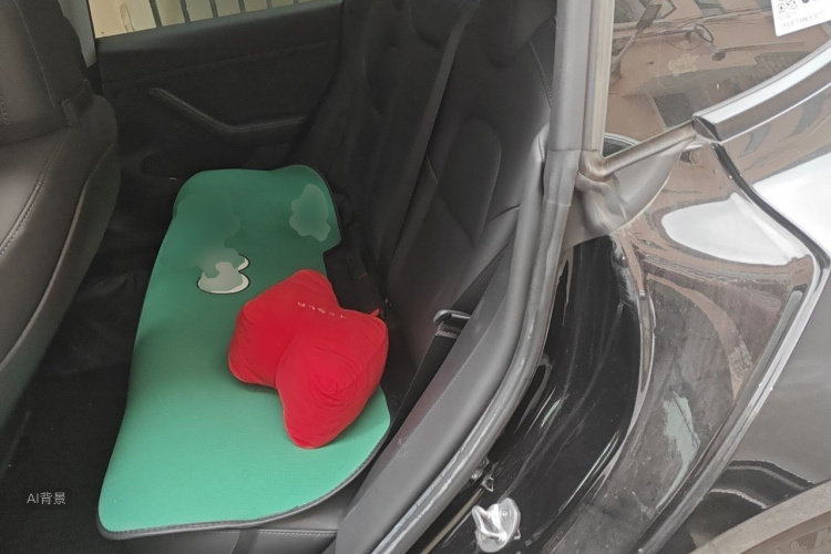 Tesla Model 3 2022 car image #19
