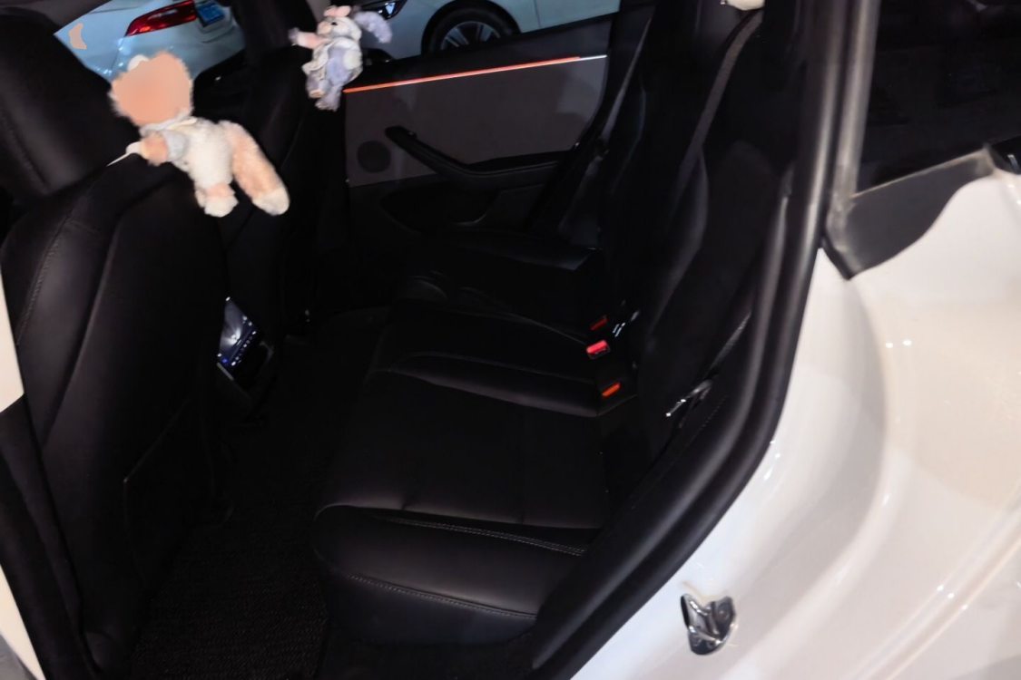 Tesla Model 3 2024 #19 Tesla Model 3 2024 car image #19