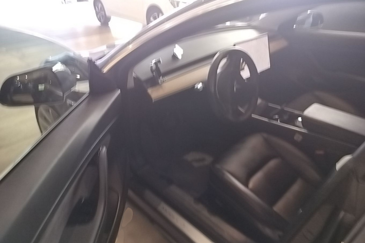Tesla Model 3 2020 car image #16