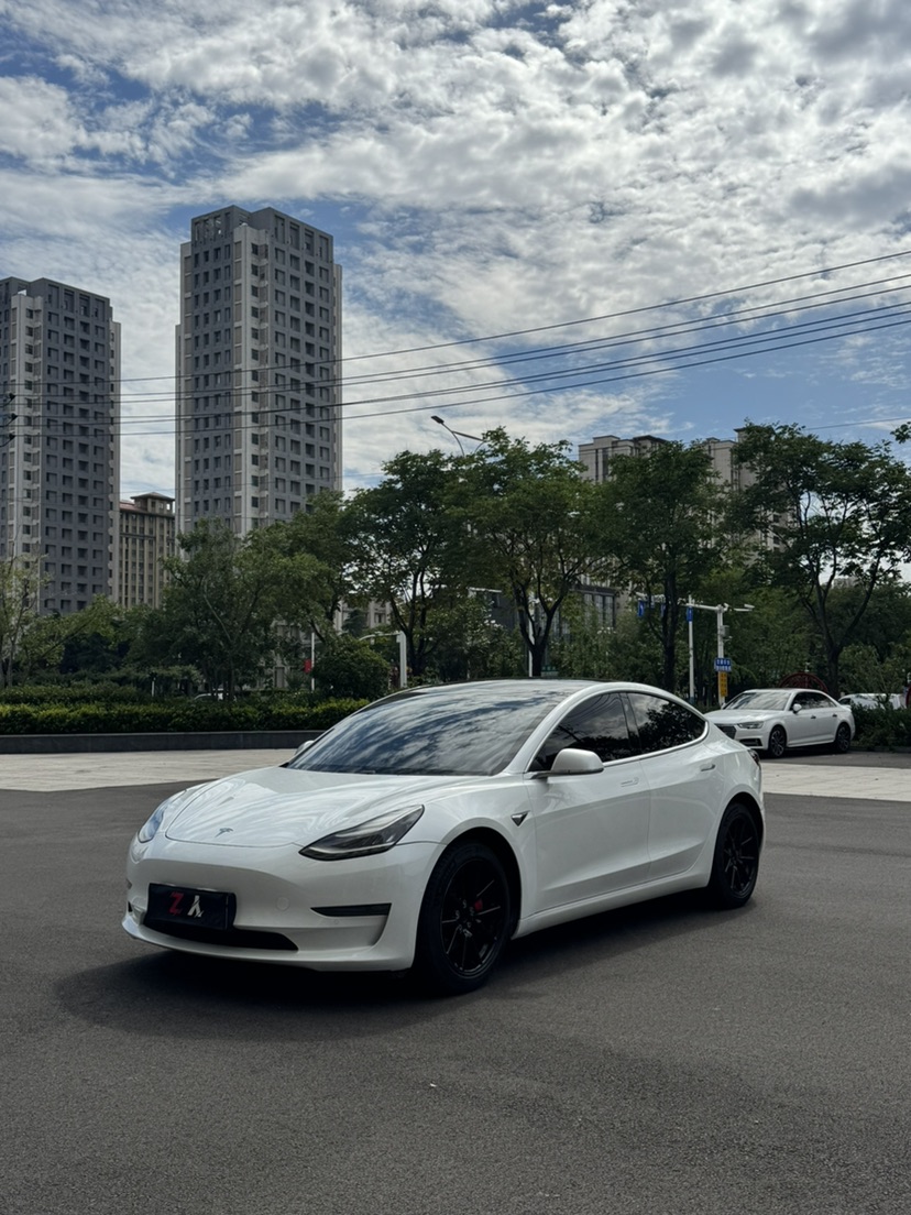 Tesla Model 3 2020 Tesla Model 3 2020 car image