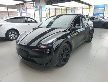 Tesla Model Y 2023 Tesla Model Y 2023 car image