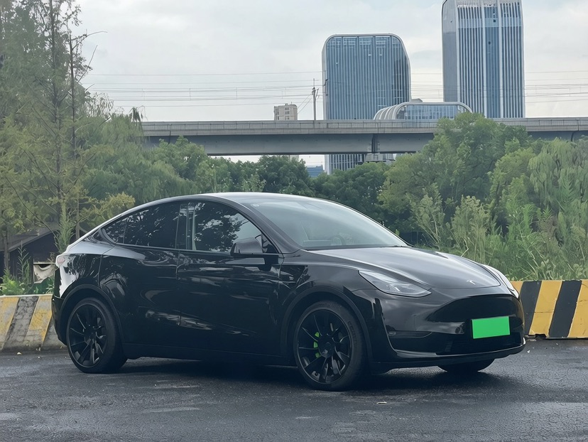 Tesla Model Y 2022 car image #3