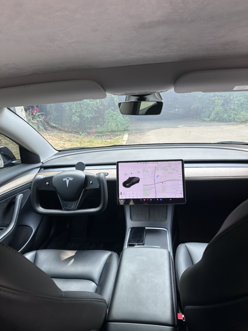 Tesla Model 3 2021 car image #6