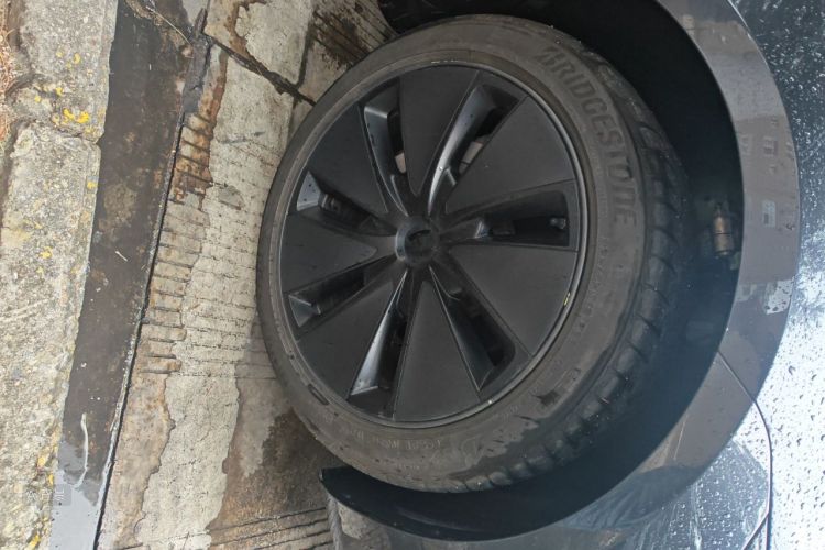 Tesla Model 3 2025 car image #9